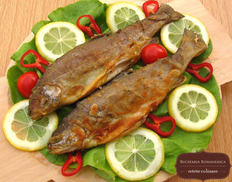 yamy - 6018071397711595403131014025007n.jpg